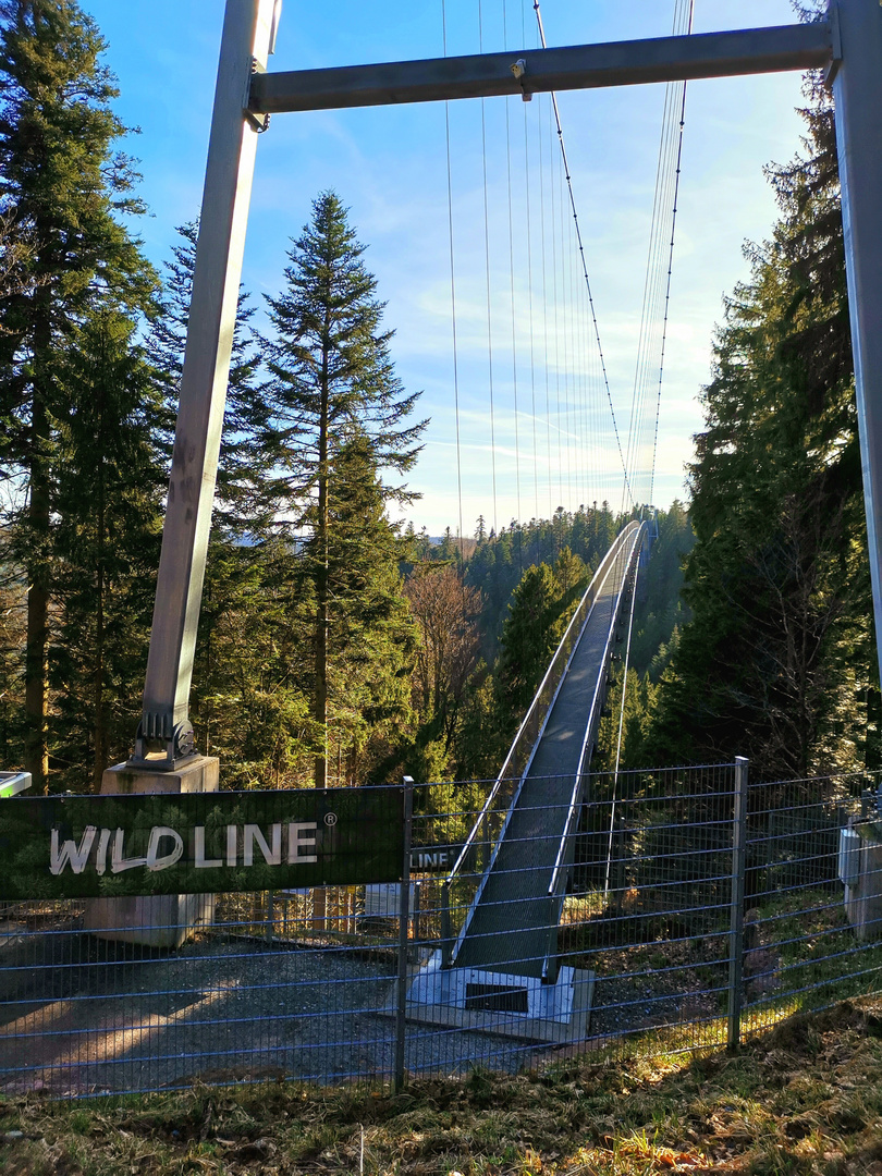 WILDLINE Hängebrücke