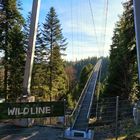 WILDLINE Hängebrücke