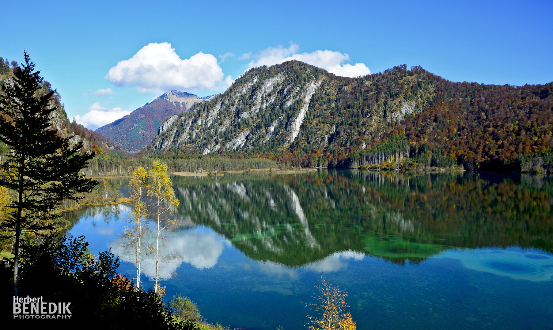 Wildness Almsee