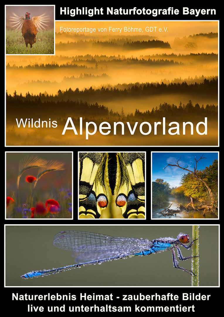 Wildnis Alpenvorland - Naturerlebnis Heimat