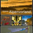 Wildnis Alpenvorland - Naturerlebnis Heimat