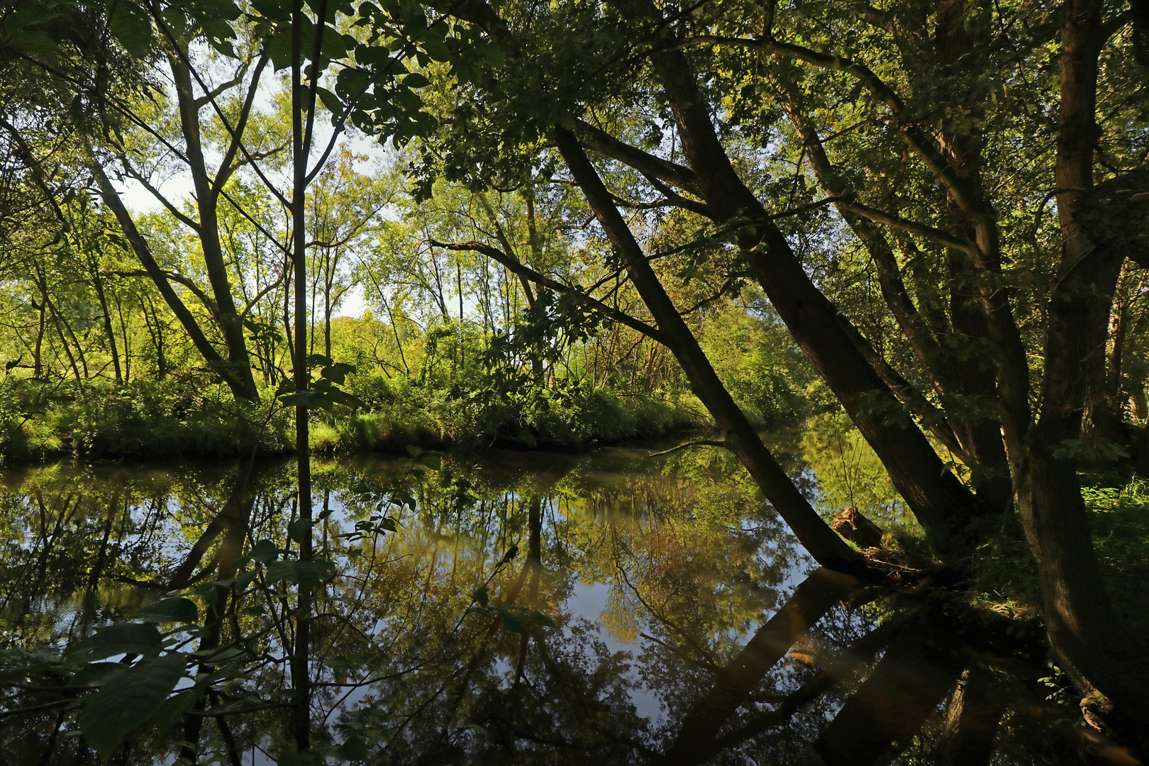 Wildnis am Fluss