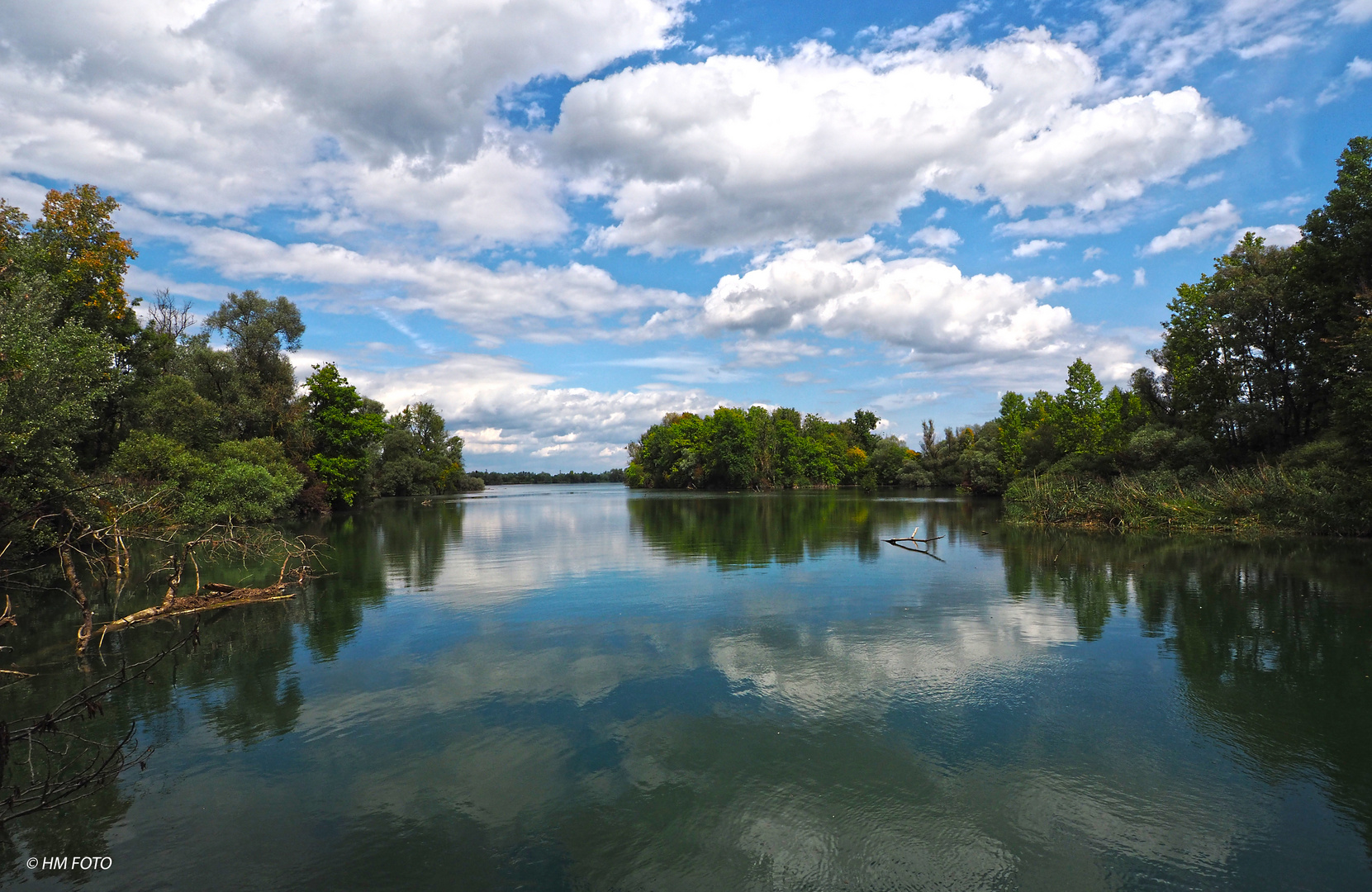 Wildnis am Oberrhein