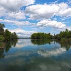 Wildnis am Oberrhein