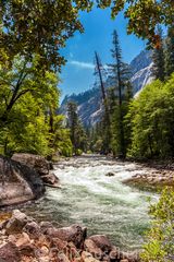 Wildnis im Yosemite-NP