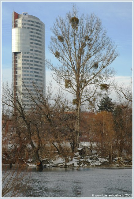 Wildnis mit Hochhaus