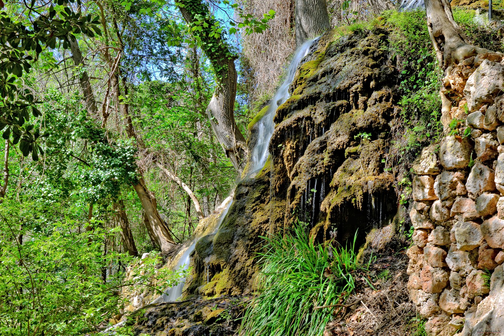 Wildnis mit Wasserfall