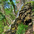 Wildnis mit Wasserfall