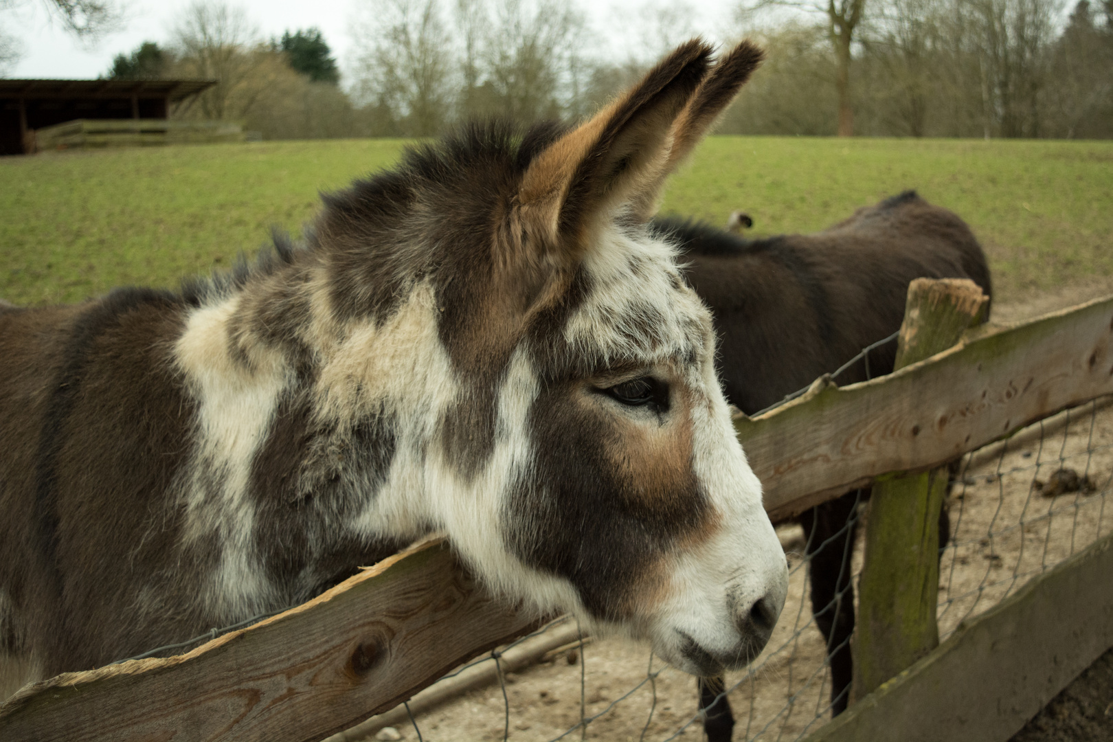 Wildpark