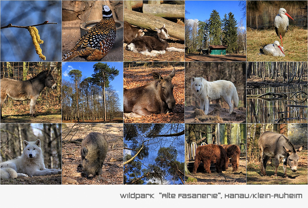 WILDPARK "ALTE FASANERIE"