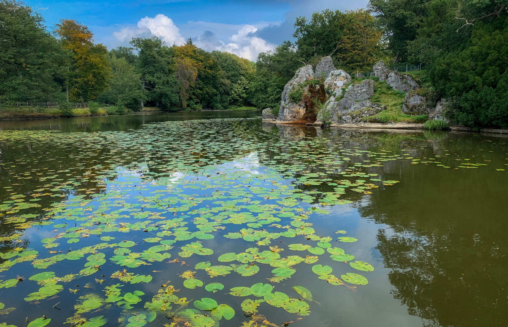 Wildpark Anholter Schweiz