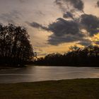 Wildpark At Sunset