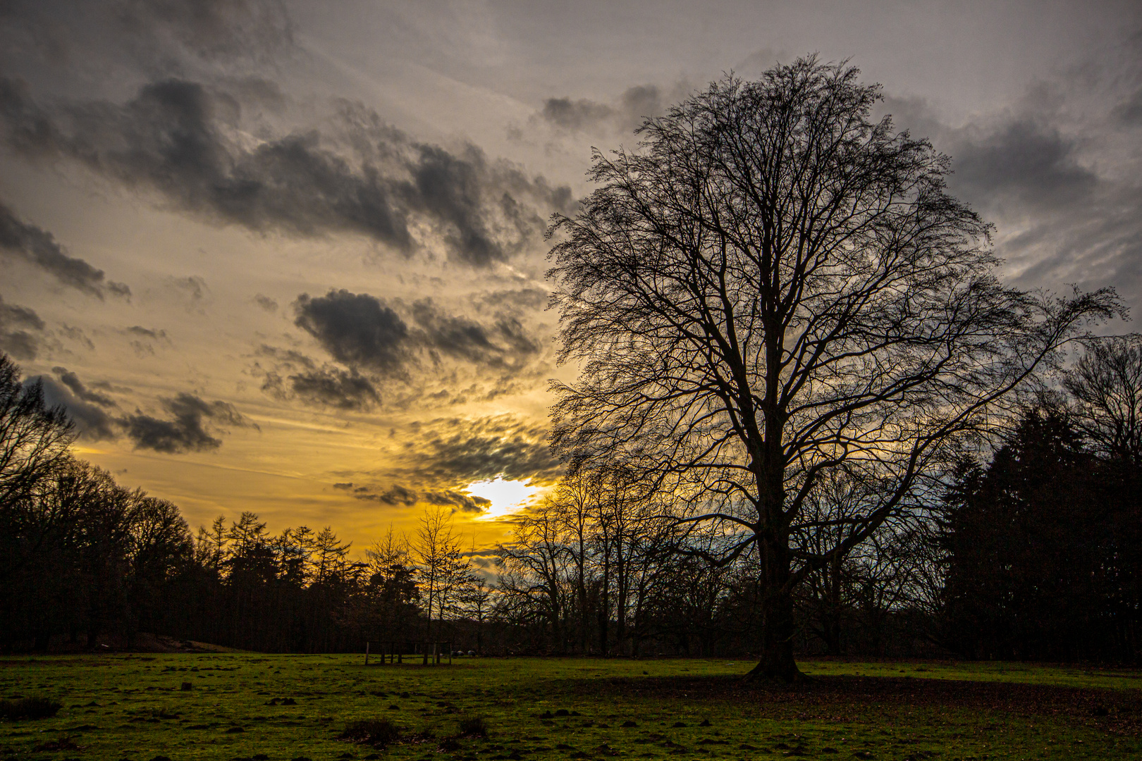 Wildpark At Sunset