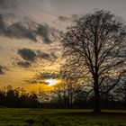 Wildpark At Sunset