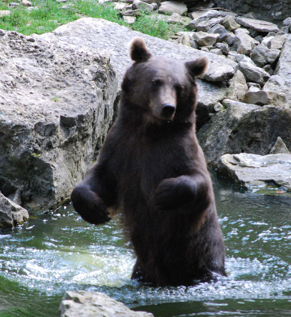 Wildpark Bad Mergentheim