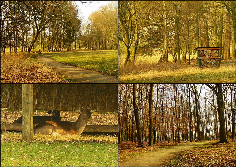 Wildpark Bad Sassendorf