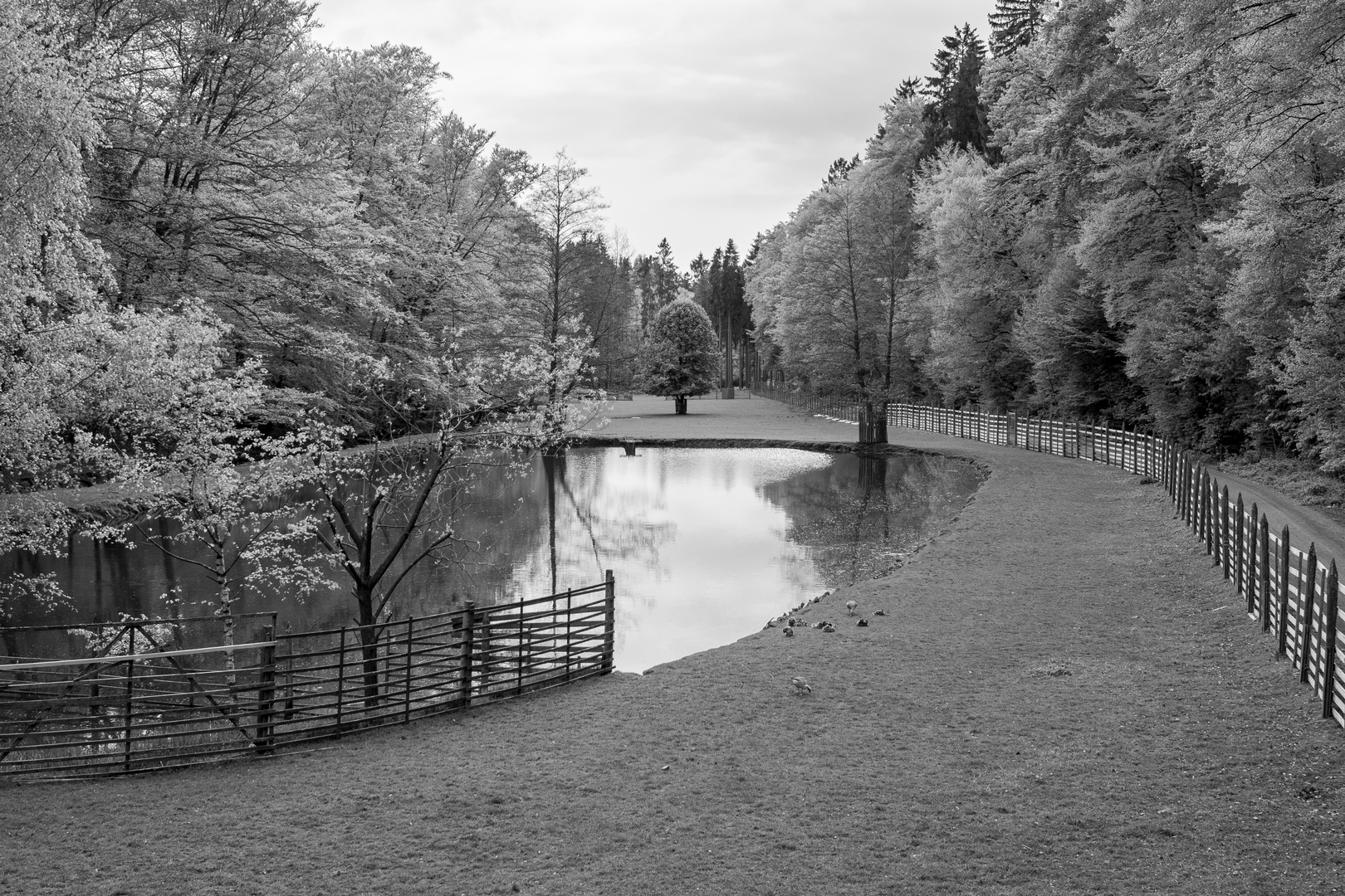 wildpark büdingen