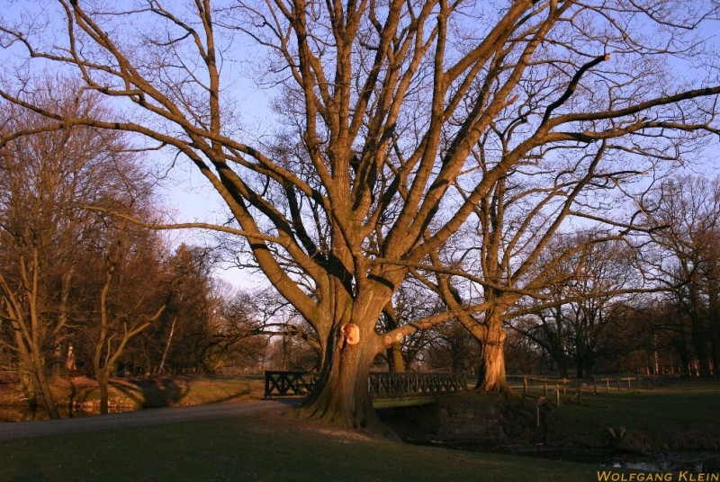 Wildpark Dülmen 02