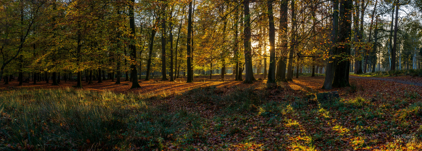 Wildpark Dülmen