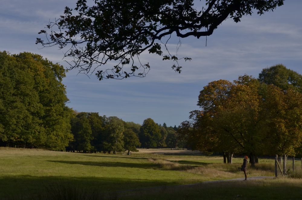 Wildpark Dülmen