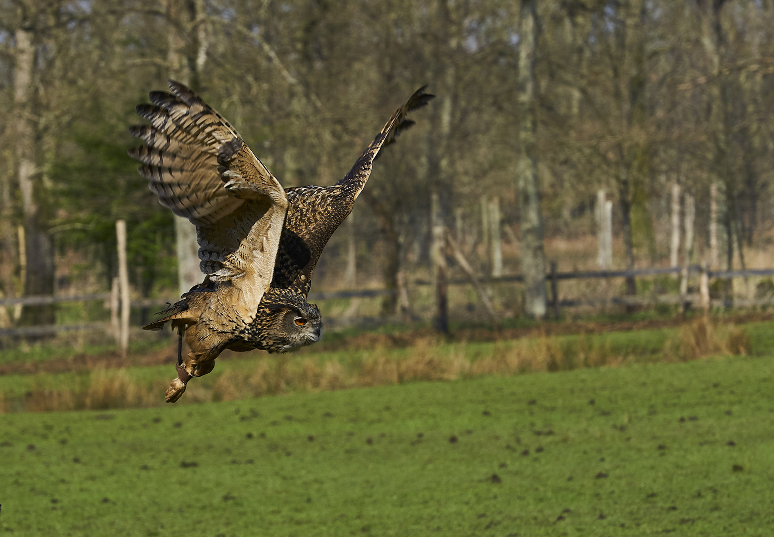 Wildpark Eekholt