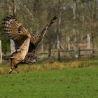 Wildpark Eekholt