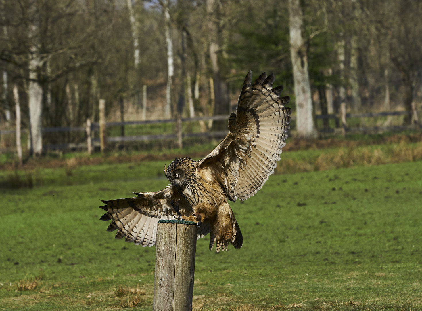 Wildpark Eekholt