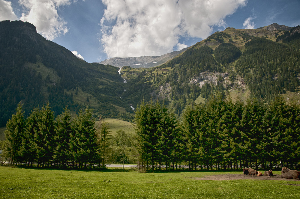 wildpark-ferleiten