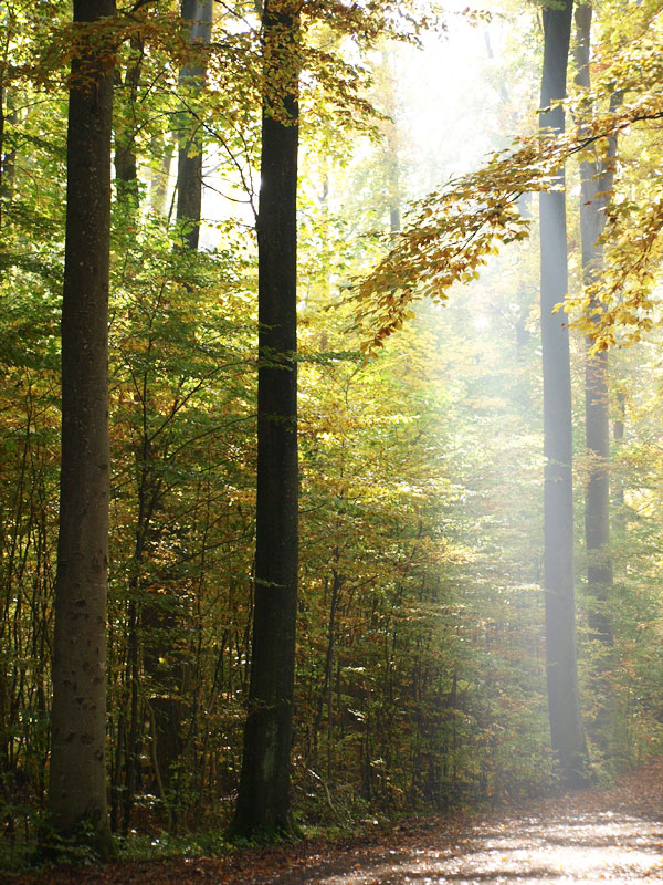 Wildpark Heidenheim