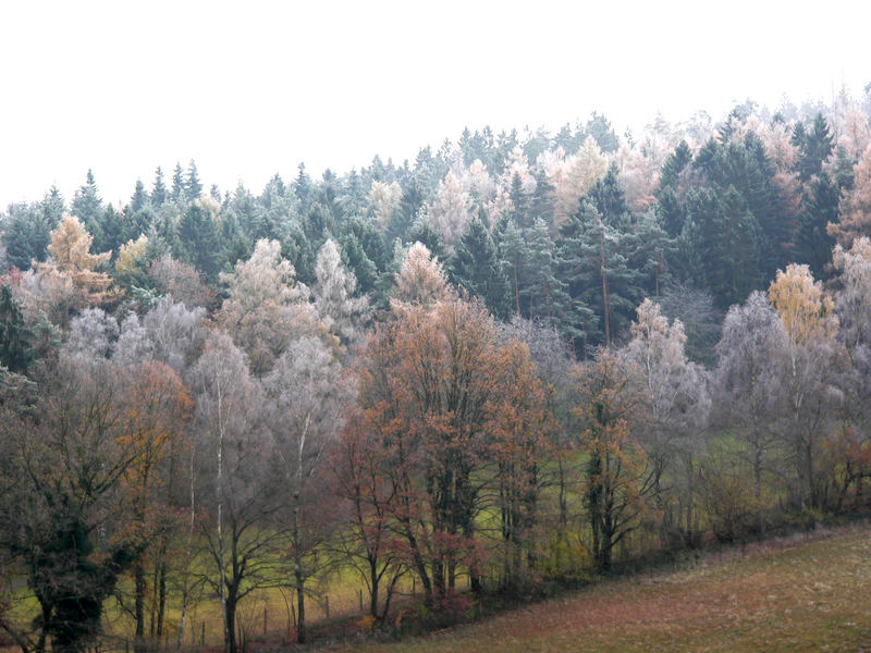 Wildpark Herbst