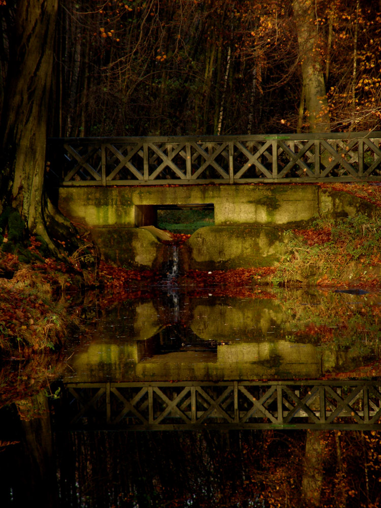 Wildpark im Herbst