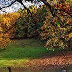 Wildpark Schwarze Berge (1)