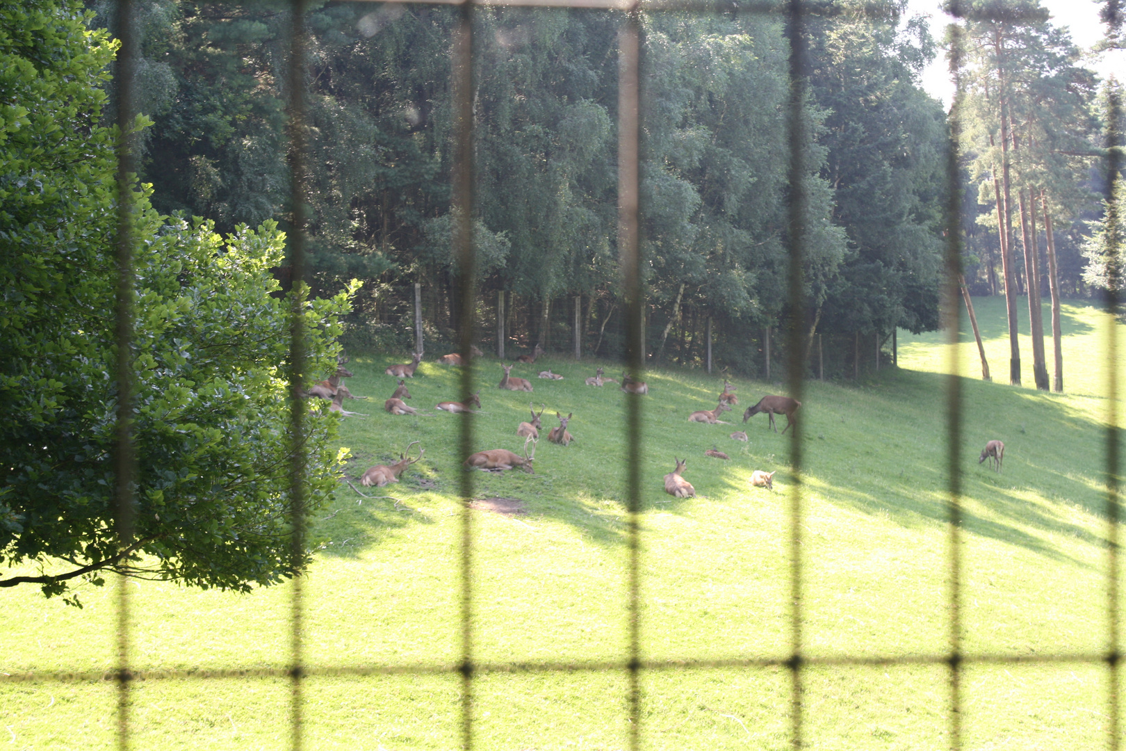 Wildpark Schwarze Berge Hamburg 2