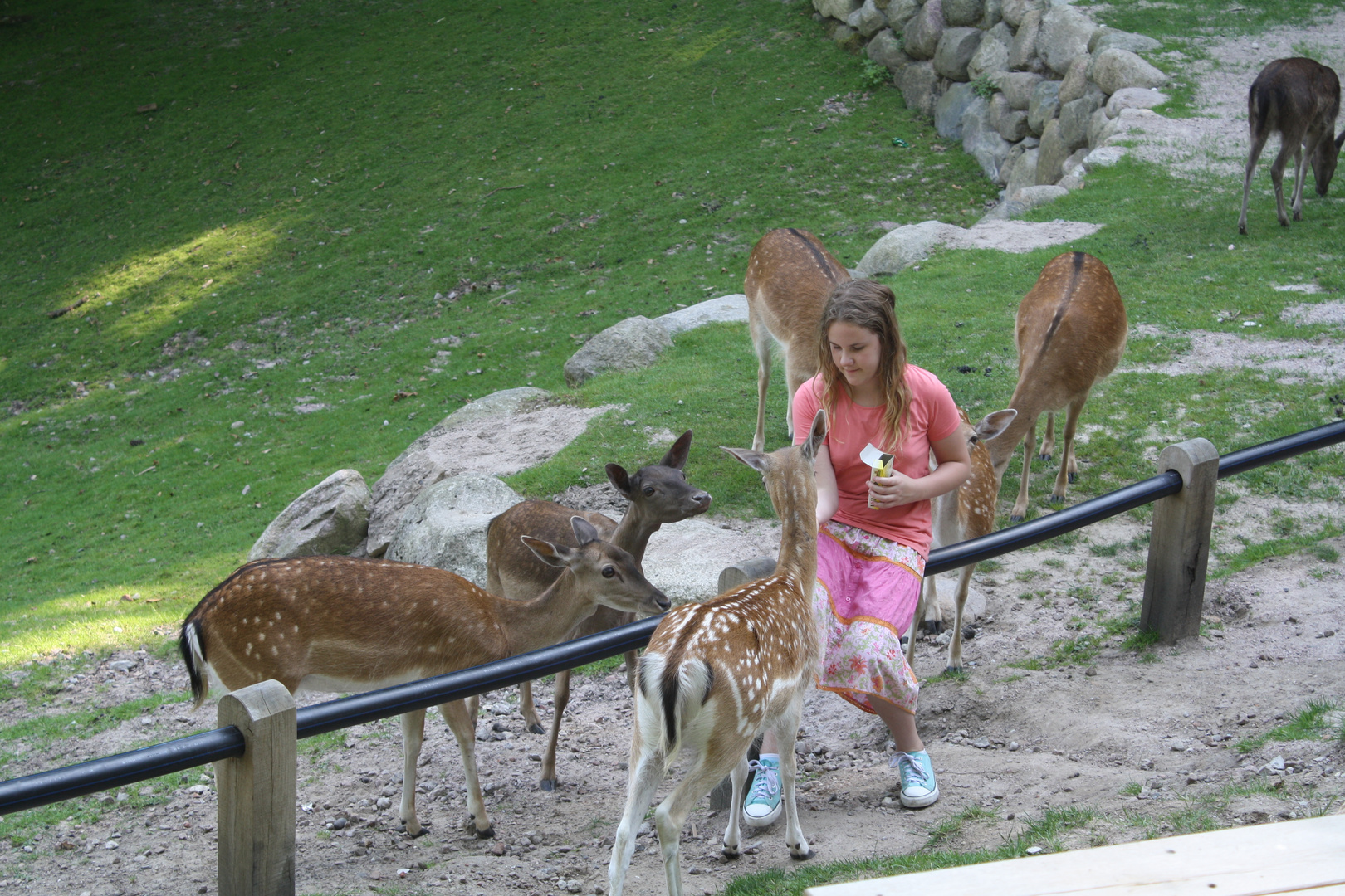 Wildpark Schwarze Berge Hamburg 6