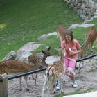 Wildpark Schwarze Berge Hamburg 6