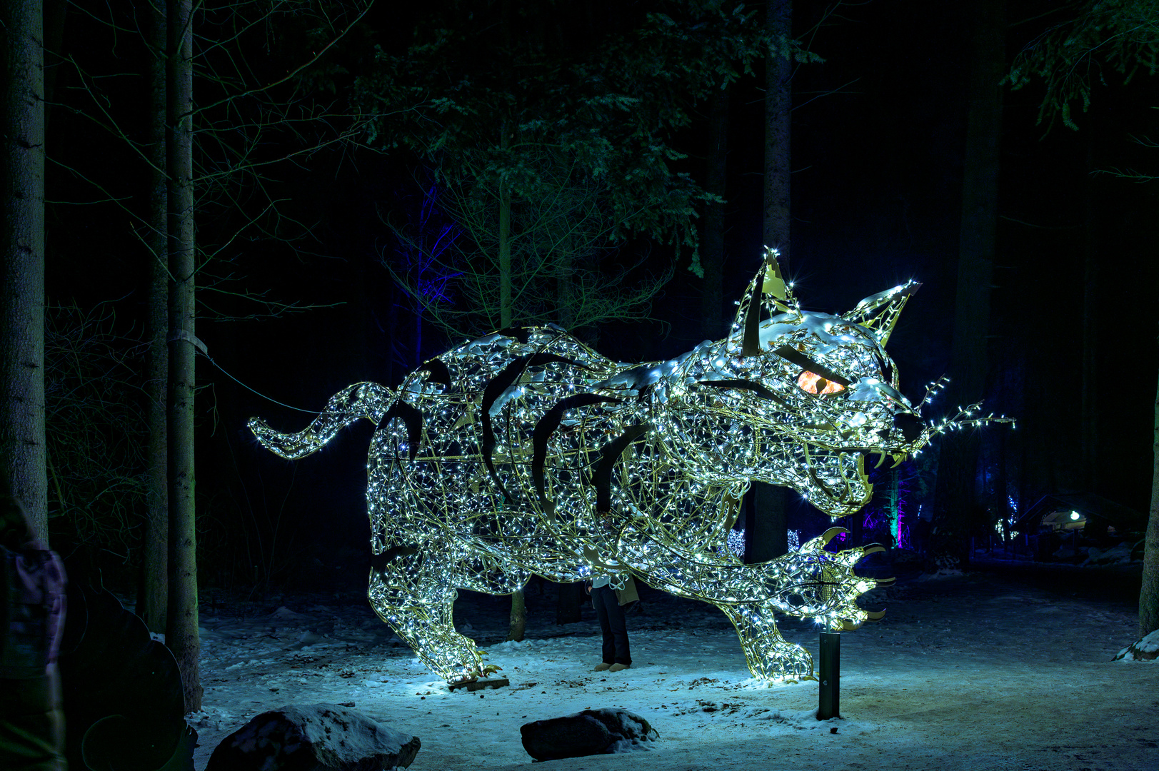 Wildpark Schwarze Berge - Luchs