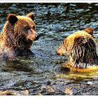 Wildpark Schwarze Berge - Wassertanz der Bären