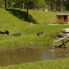 Wildpark Untertauern