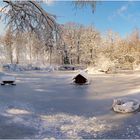 Wildparksee im Winter