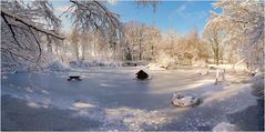 Wildparksee im Winter