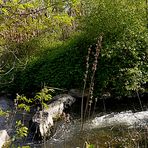 Wildromantische Agger bei Siegburg