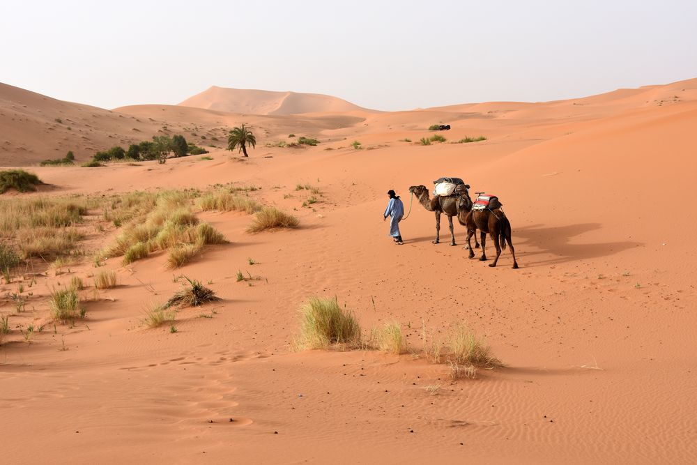 Wildromantische Dünenlandschaft im Erg Chebbi