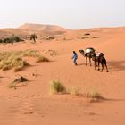 Wildromantische Dünenlandschaft im Erg Chebbi