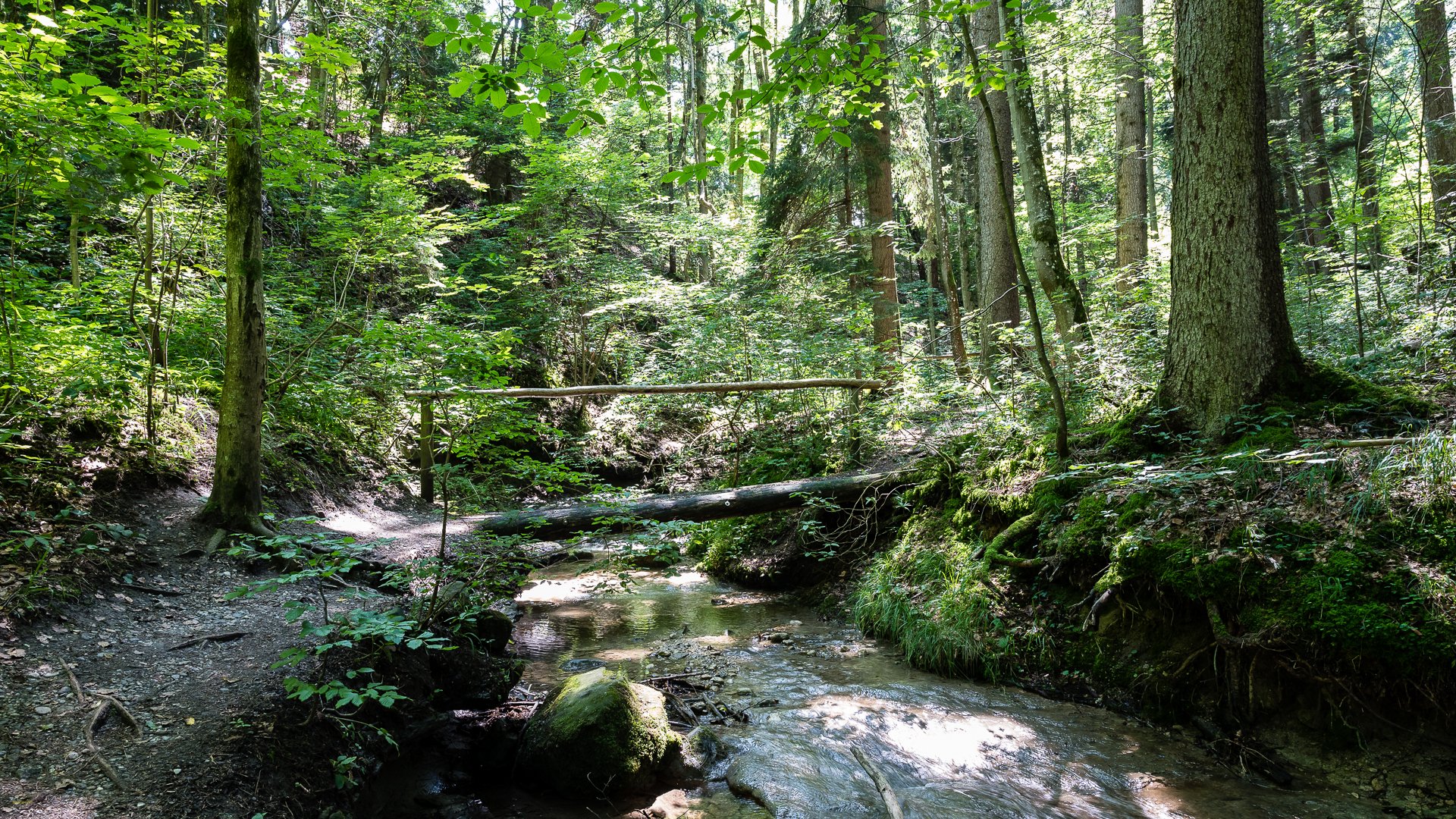 wildromantische Feuersteinschlucht