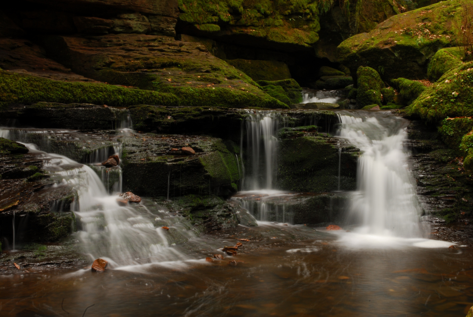 Wildromantische Monbachschlucht in Bad Liebenzell