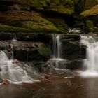 Wildromantische Monbachschlucht in Bad Liebenzell