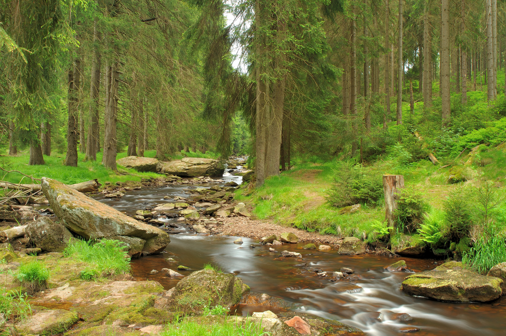 Wildromantische Natur