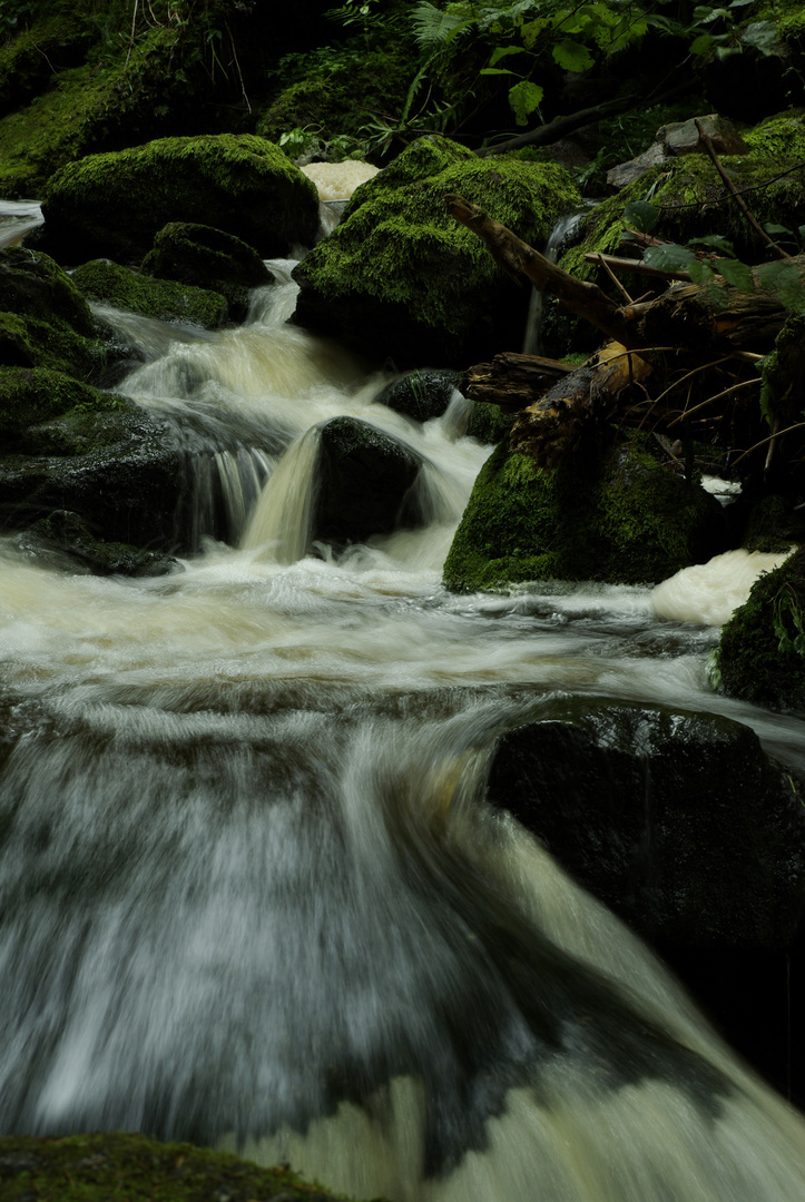 Wildromantische Ravennaschlucht