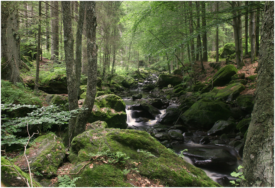 Wildromantische Steinklamm