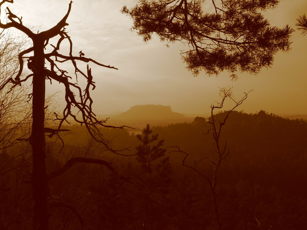 Wildromantisches Elbsandsteingebirge